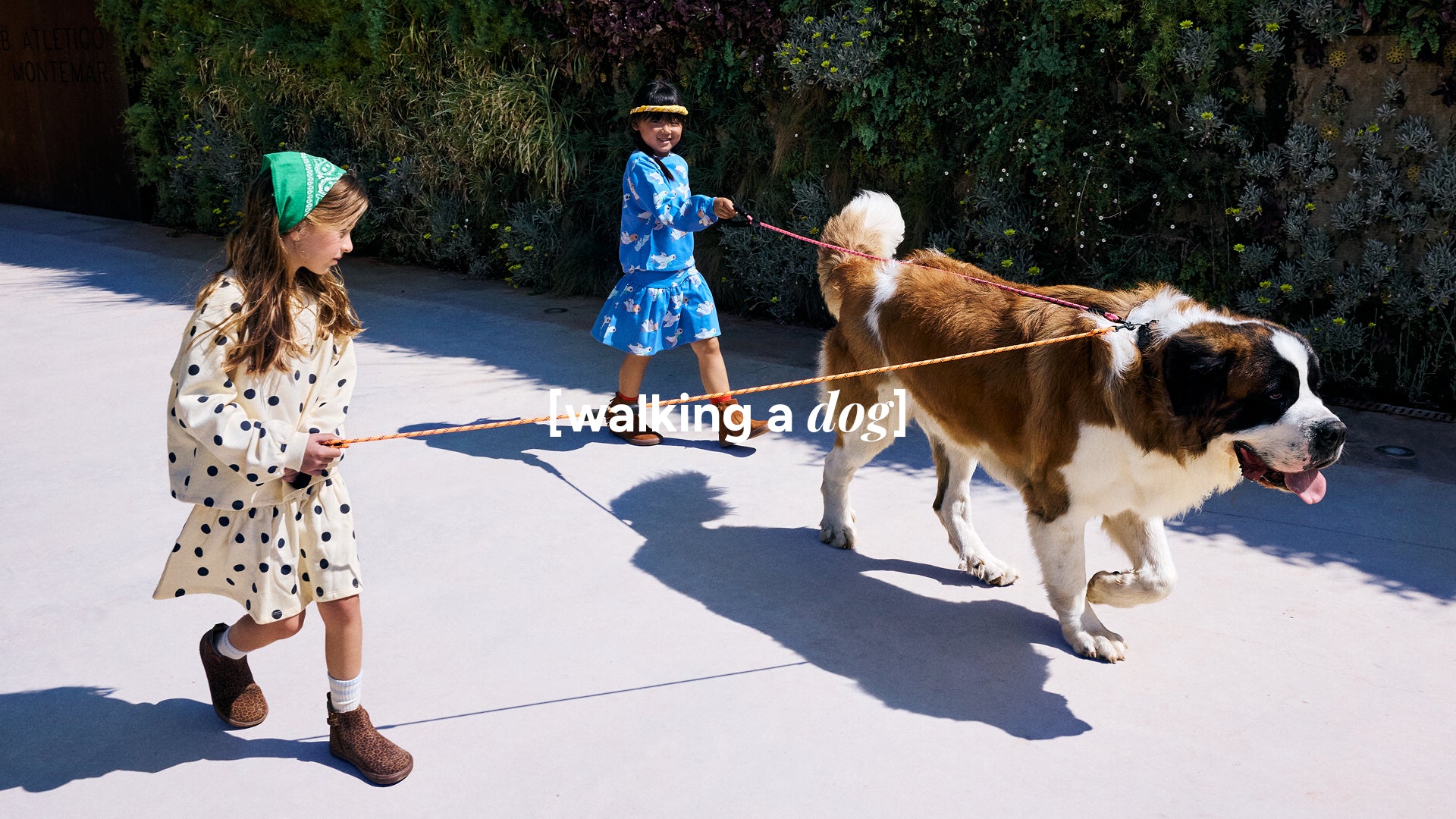 Image banner