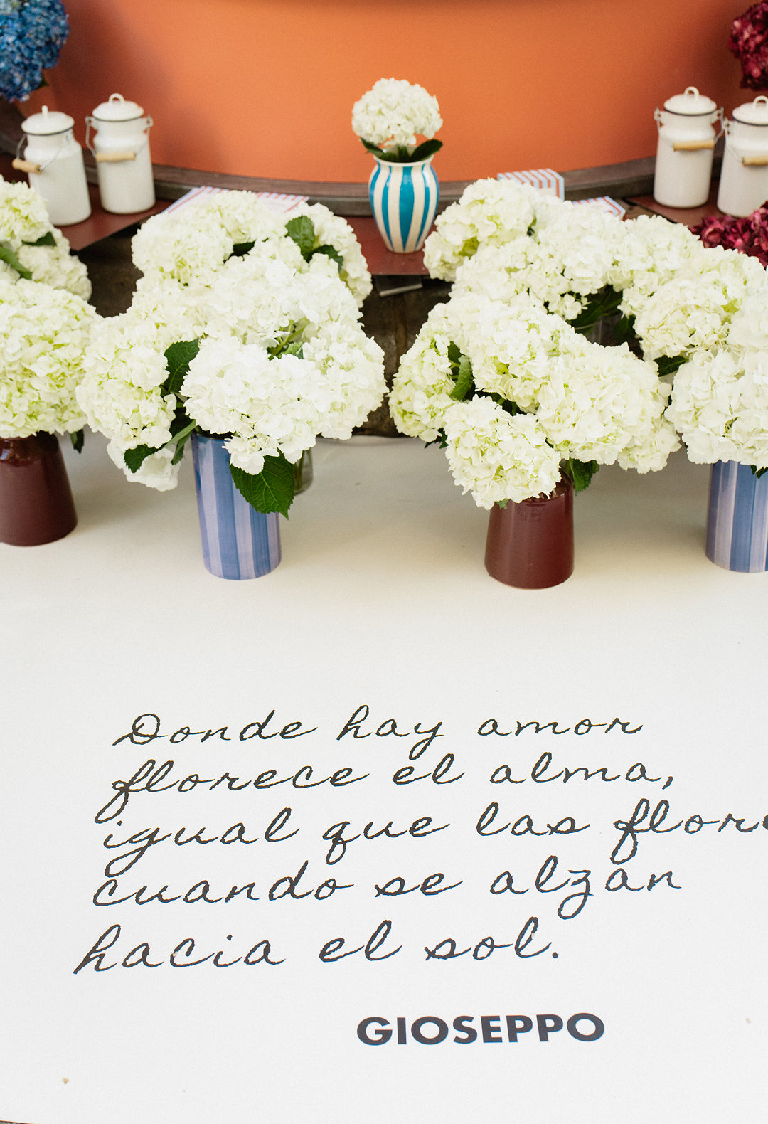 Image banner
