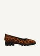 Leopardo