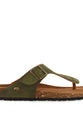 Kaki