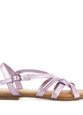 Malva