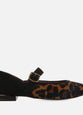 Leopardo