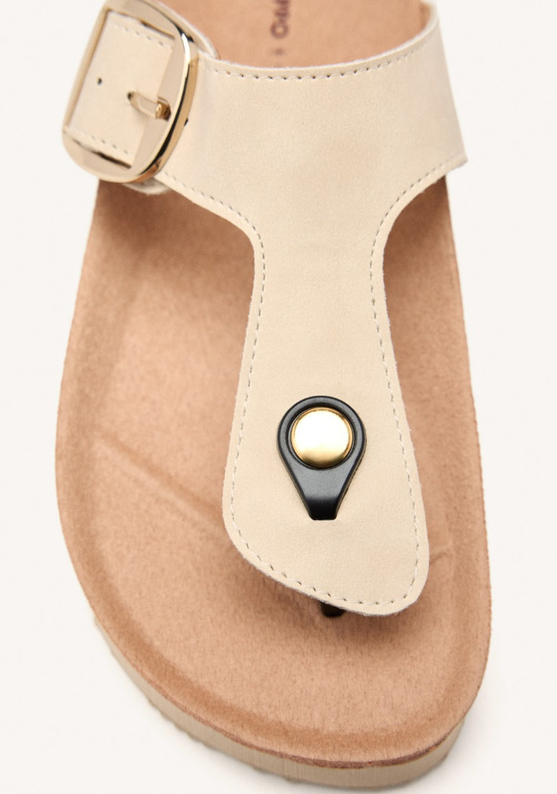 BUCKLE SANDALS WEARE