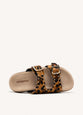 Leopardo