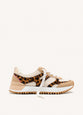 Leopardo
