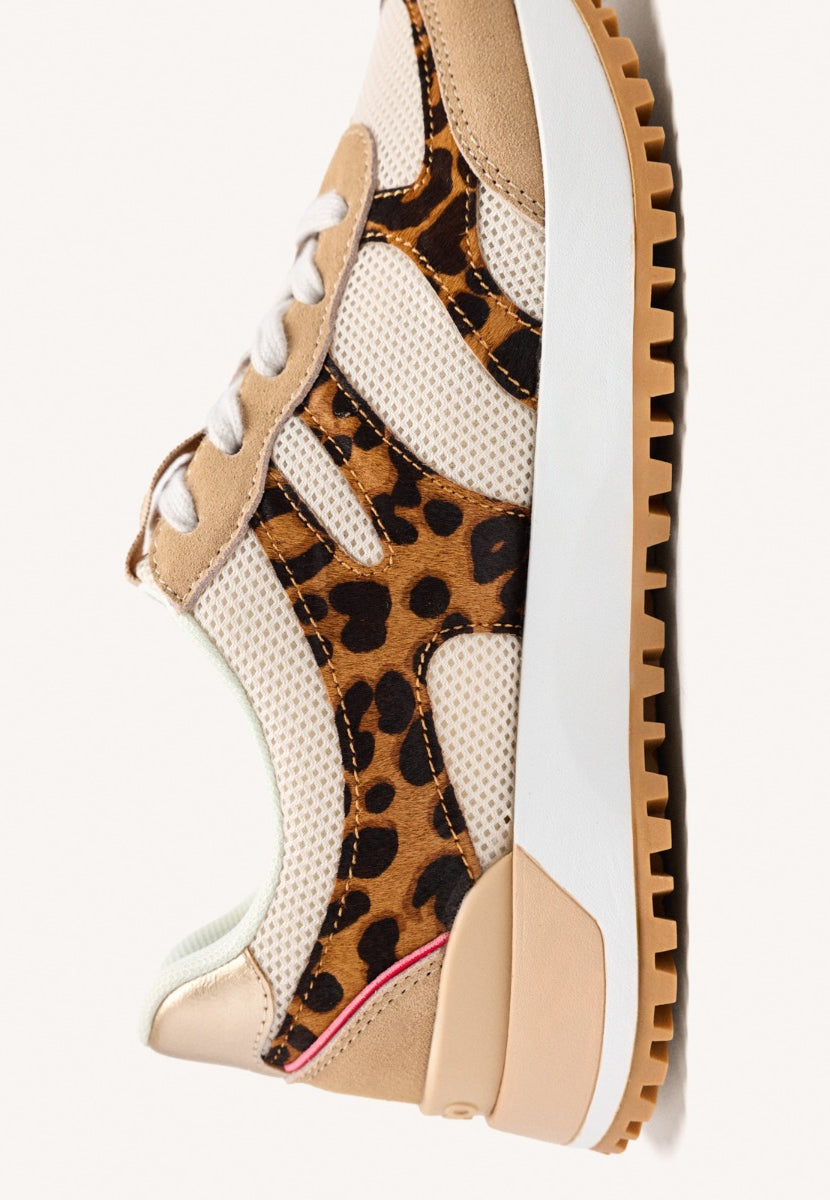 SCARPE DA GINNASTICA LEOPARDATE MADBURY