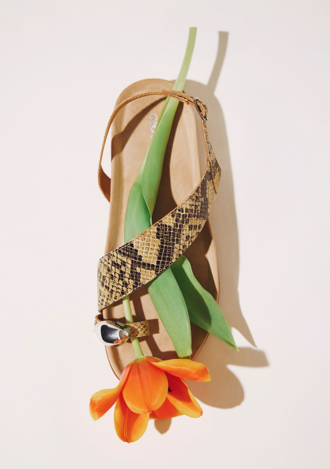 ANIMAL PRINT LEATHER JEWEL SANDALS TANAUAN
