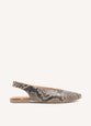 Serpiente