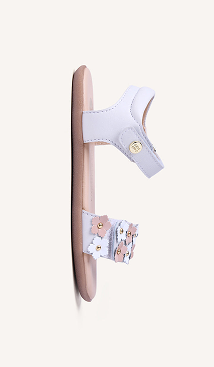 Drop 0
