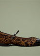 Leopardo